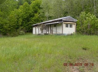 9871 Slough Rd, Ellsworth, MI 49729