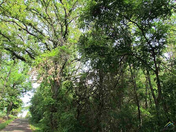 5th image of 14910 County Road 440