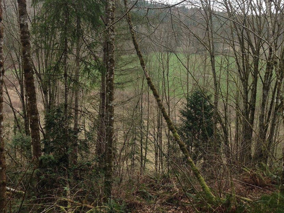 Looking over valley-East