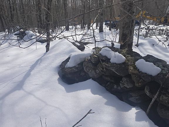 2nd image of 0WP Henry Williams Rd