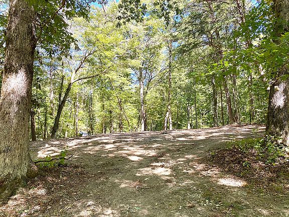 Homesite 1 cleared and ready