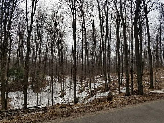 2nd image of 21 ACRES S SILVER LAKE RD