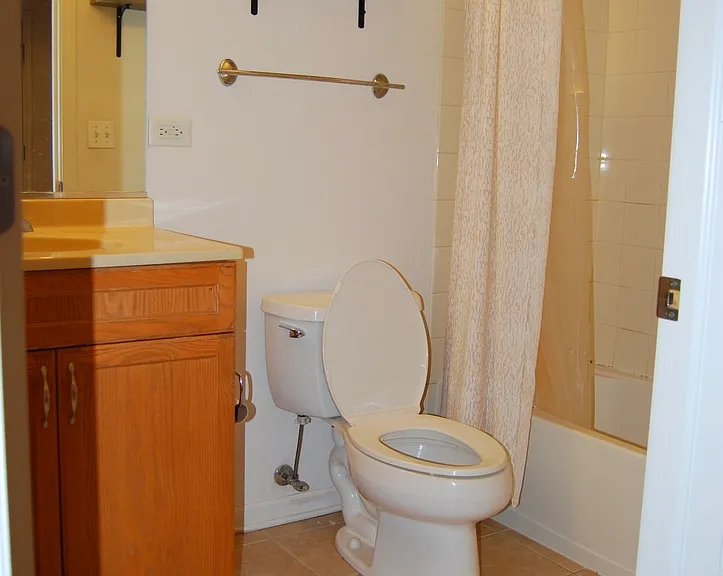 1431 S Halsted St #3A — Photo 12
