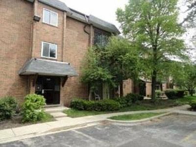 1st image of 1037 Buccaneer Dr APT 3-04