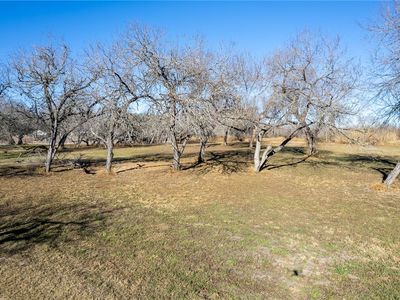 (Undisclosed Address), Sinton, TX, 78387