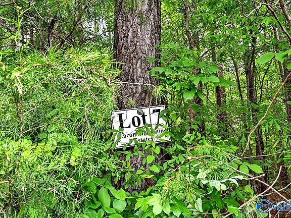 4th image of LOT 7 Mill Creek Rd