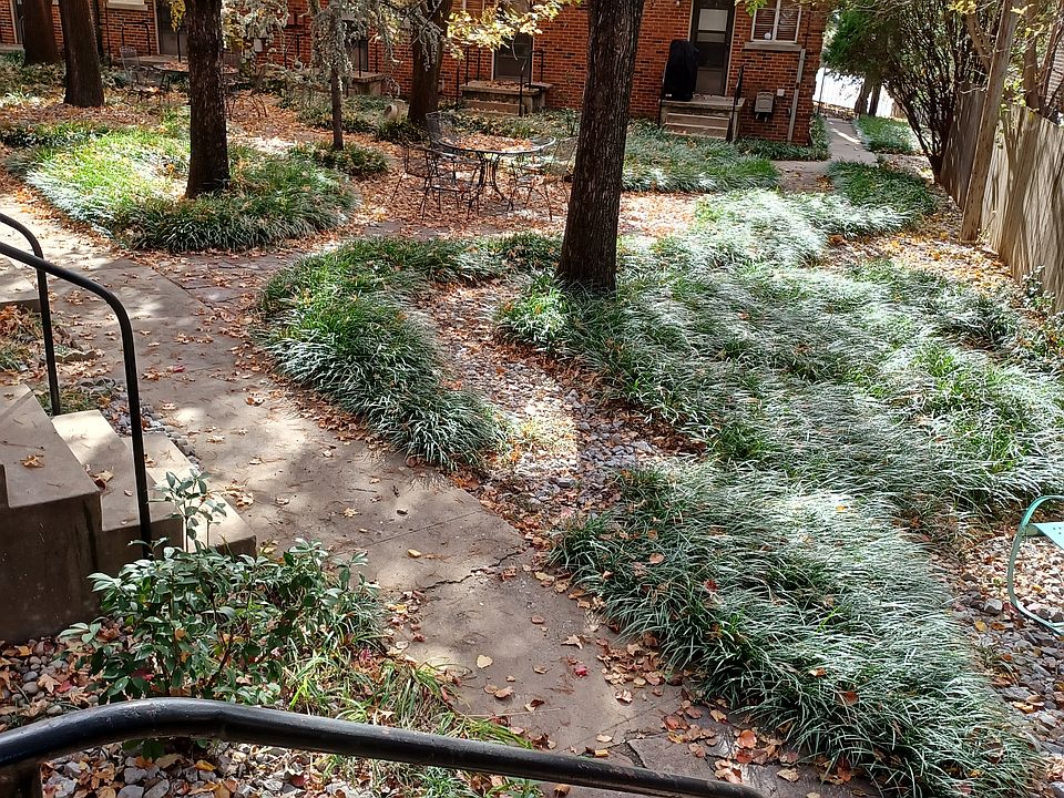 View of courtyard from back porch