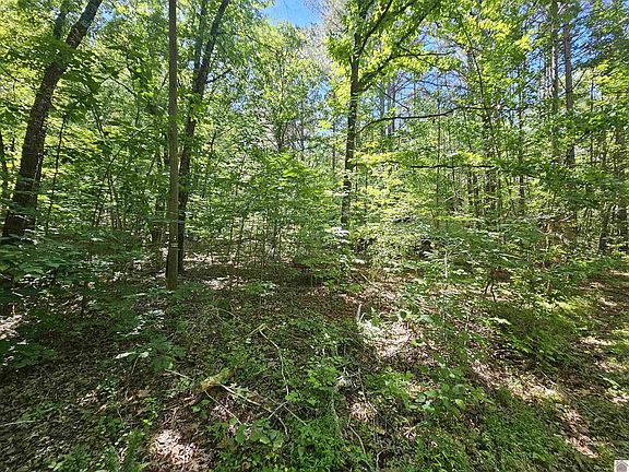 4th image of 274 Sun Valley Rd
