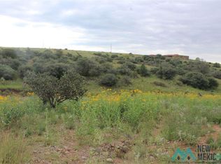 115 Country Rd, Silver City, NM 88061