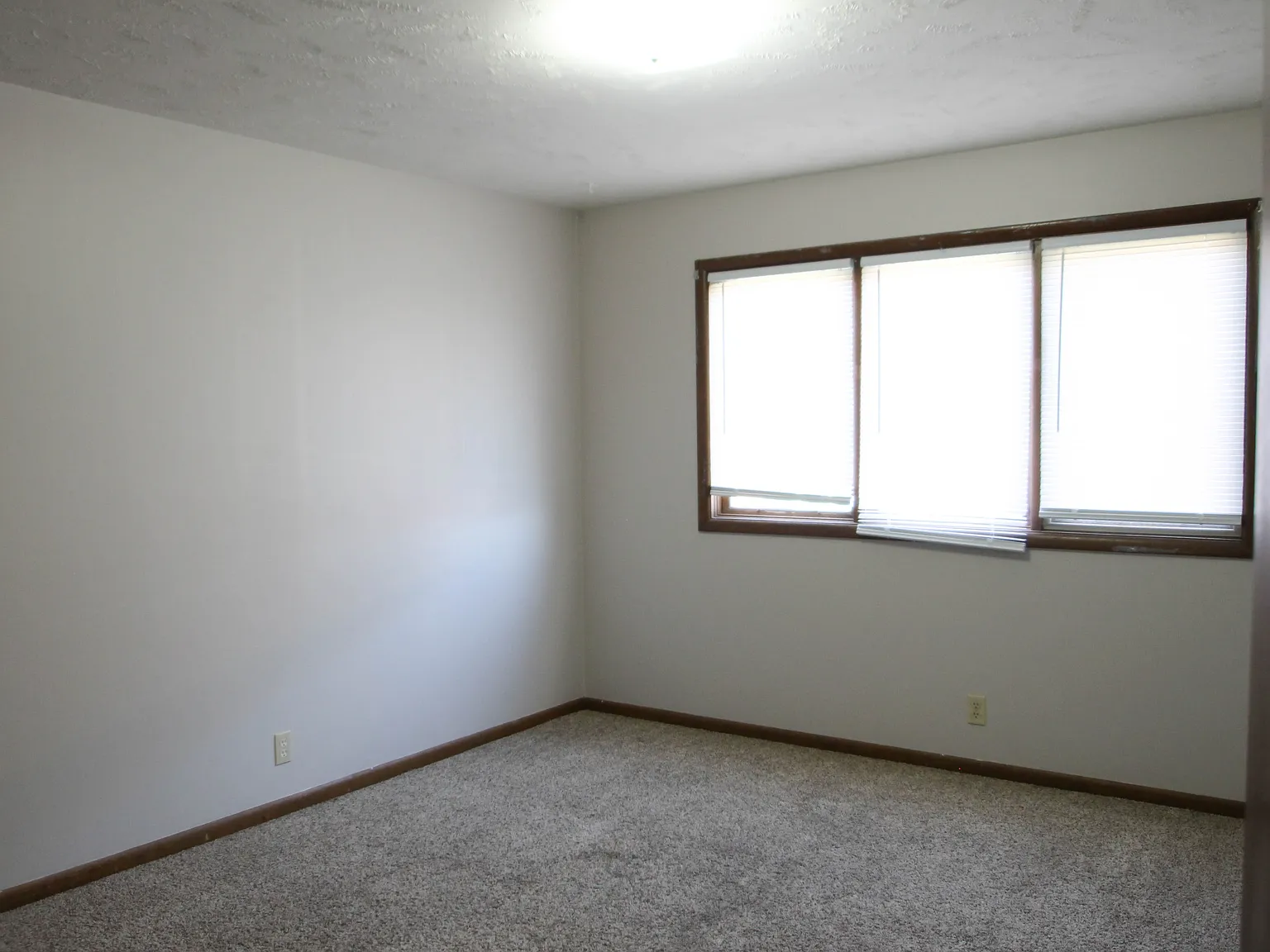 Barnes 7303 Decatur St — Photo 4