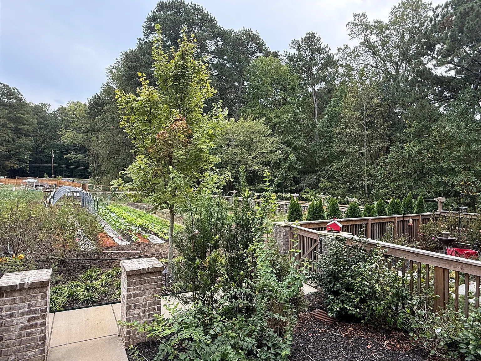 5 bed, 2800 sqft, $4,990 — Photo 4