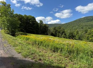0 Lower Meeker Hollow Rd LOT 1, Roxbury, NY 12474