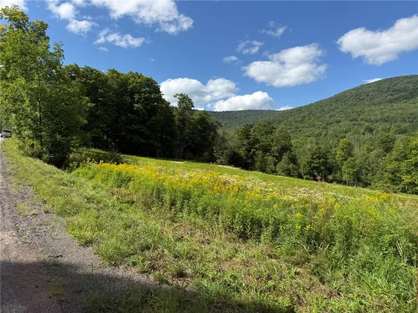 0 Lower Meeker Hollow Rd Lot 1, Roxbury, NY 12474