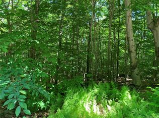 Cattail Rd, Livingston Manor, NY 12758