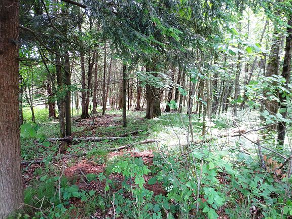 3rd image of LOT 7 Blue Vista Dr