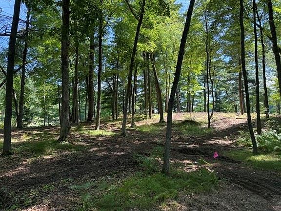 2nd image of Lot 5 9 3/4 Avenue