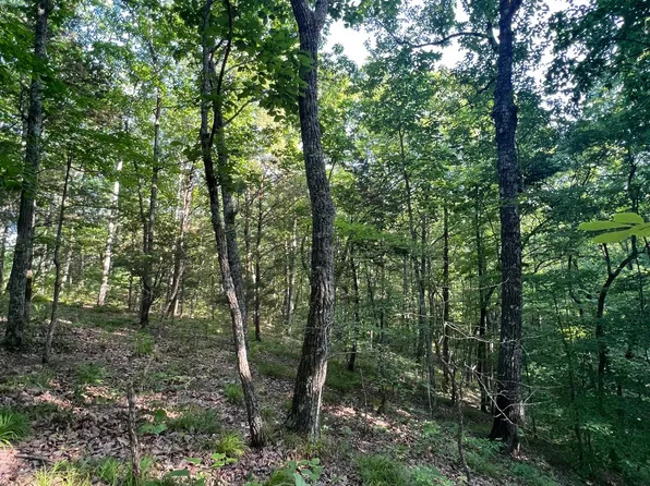 0 Sewell Branch Rd Lot 4, Clifton, TN 38425