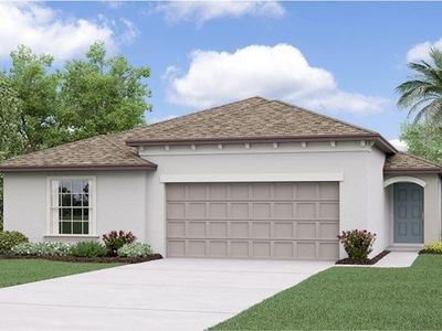5528 Blue Azure Dr, Wimauma, FL, 33598