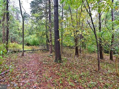 164 Quail Rd, Basye, VA, 22810