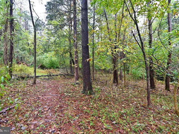 164 Quail Rd, Basye, VA 22810