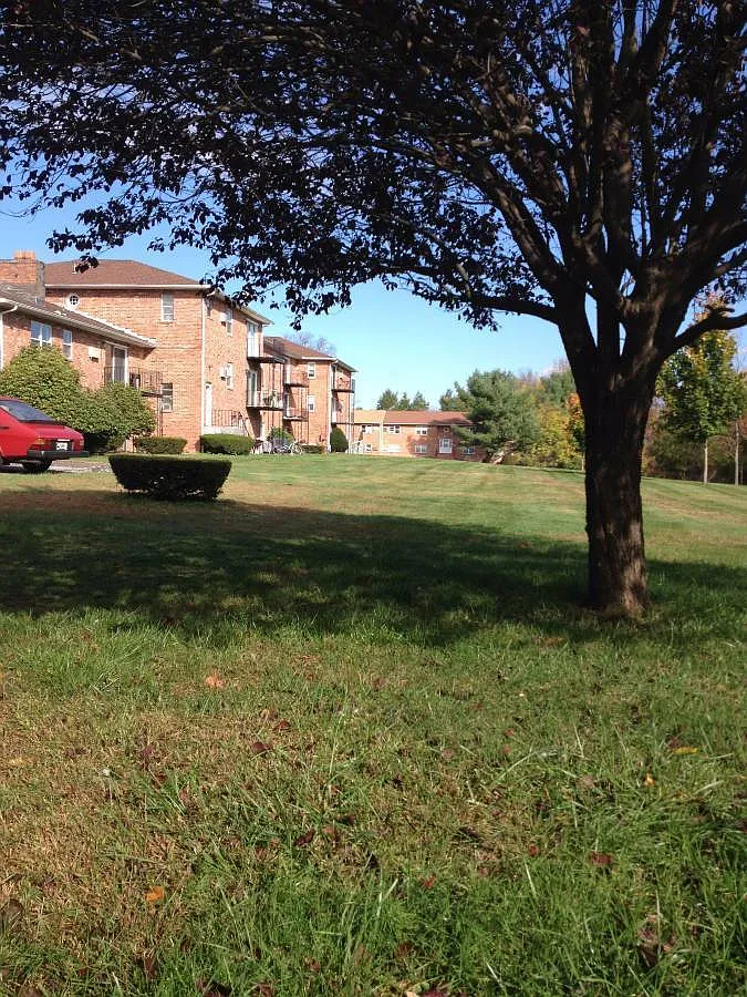 Pondview Apartments — Photo 4