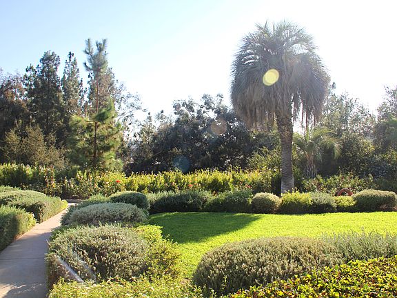 Front lawn