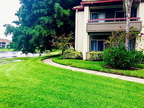 10263 Gandy Blvd N #513 Photo 1