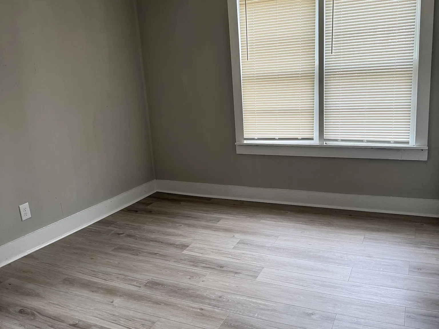 116 Jones Street - 1 — Photo 4