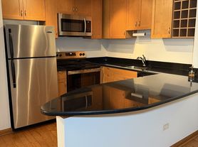 1460 N Sandburg Ter