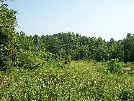 4th image of 318 County Road 418