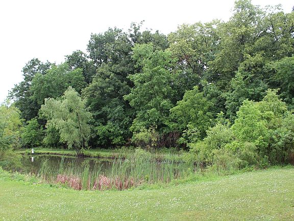 3rd image of 6275 E County Road 16 Lot Wp001