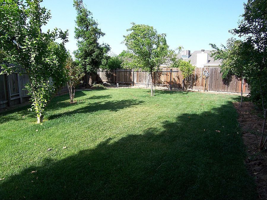 back yard