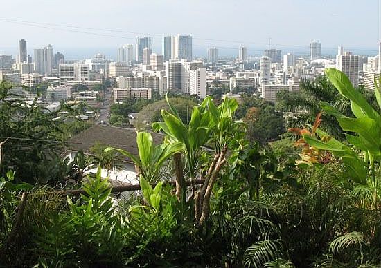 View of City from Patio