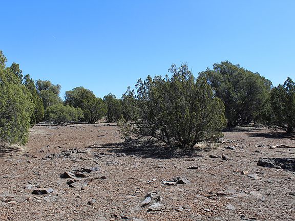 5th image of 1823 Woodside Trl