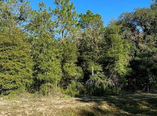 SW 125th Court Rd LOT 4, Dunnellon, FL 34432