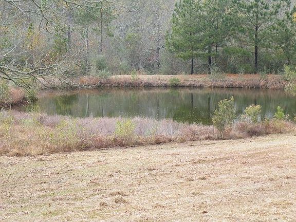 3rd image of 967 Old Wiggins Hwy