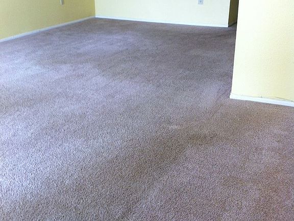 4th image of 4205 S Semoran Blvd APT 7