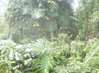 Lehuanani St LOT 882, Volcano, HI 96785