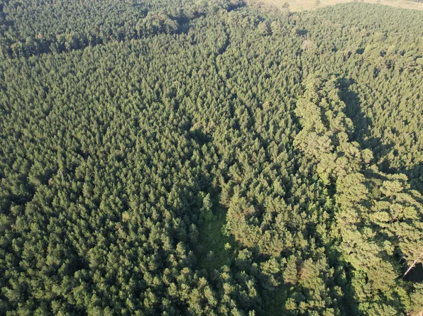 Bradley Rd #130, Banks, AR 71631