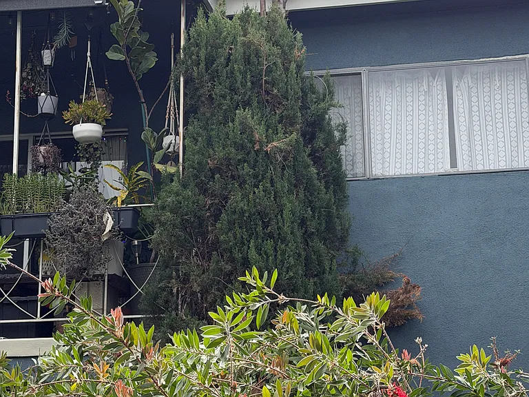 Orange Grove — Photo 24
