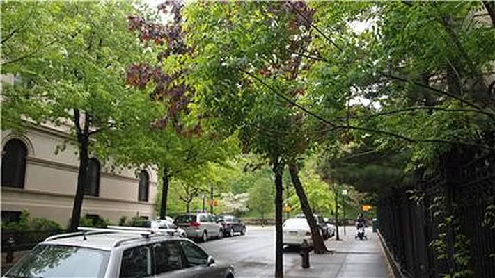 Rented by Temple Morrow LLC | media 25