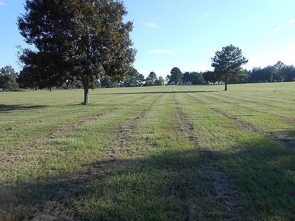 Looking South