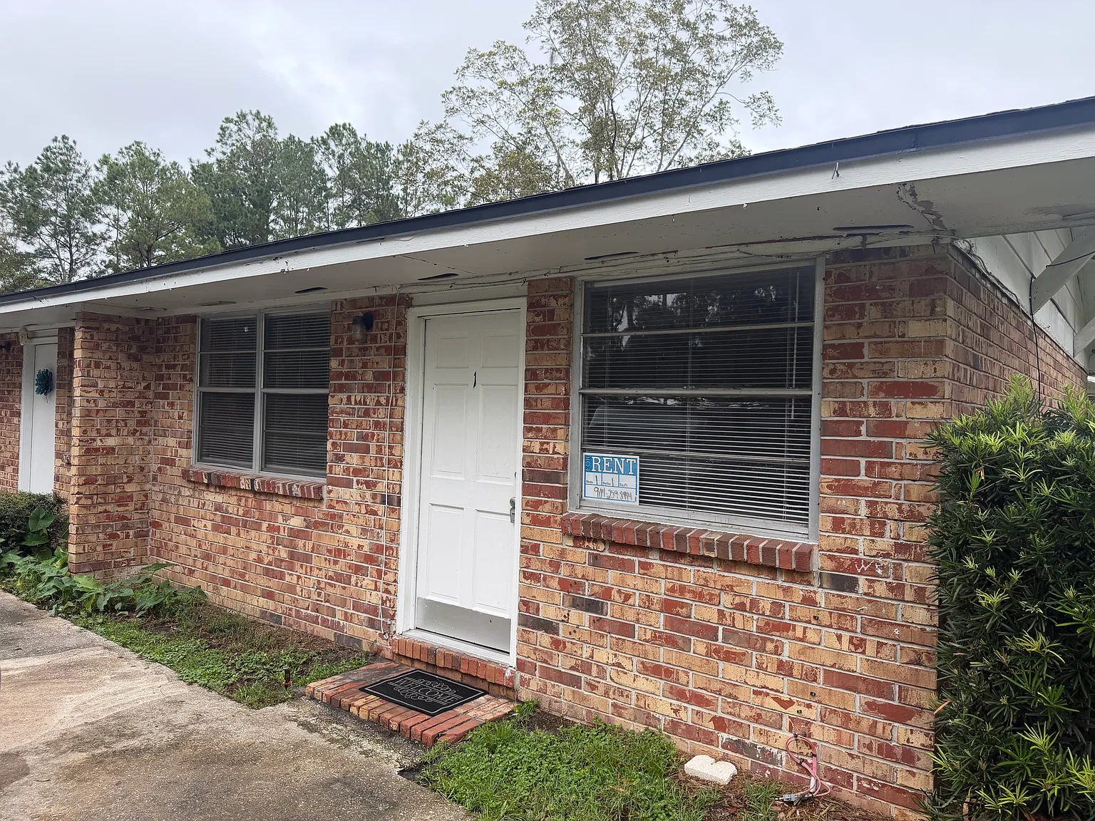 1 bed, $870 — Photo 1
