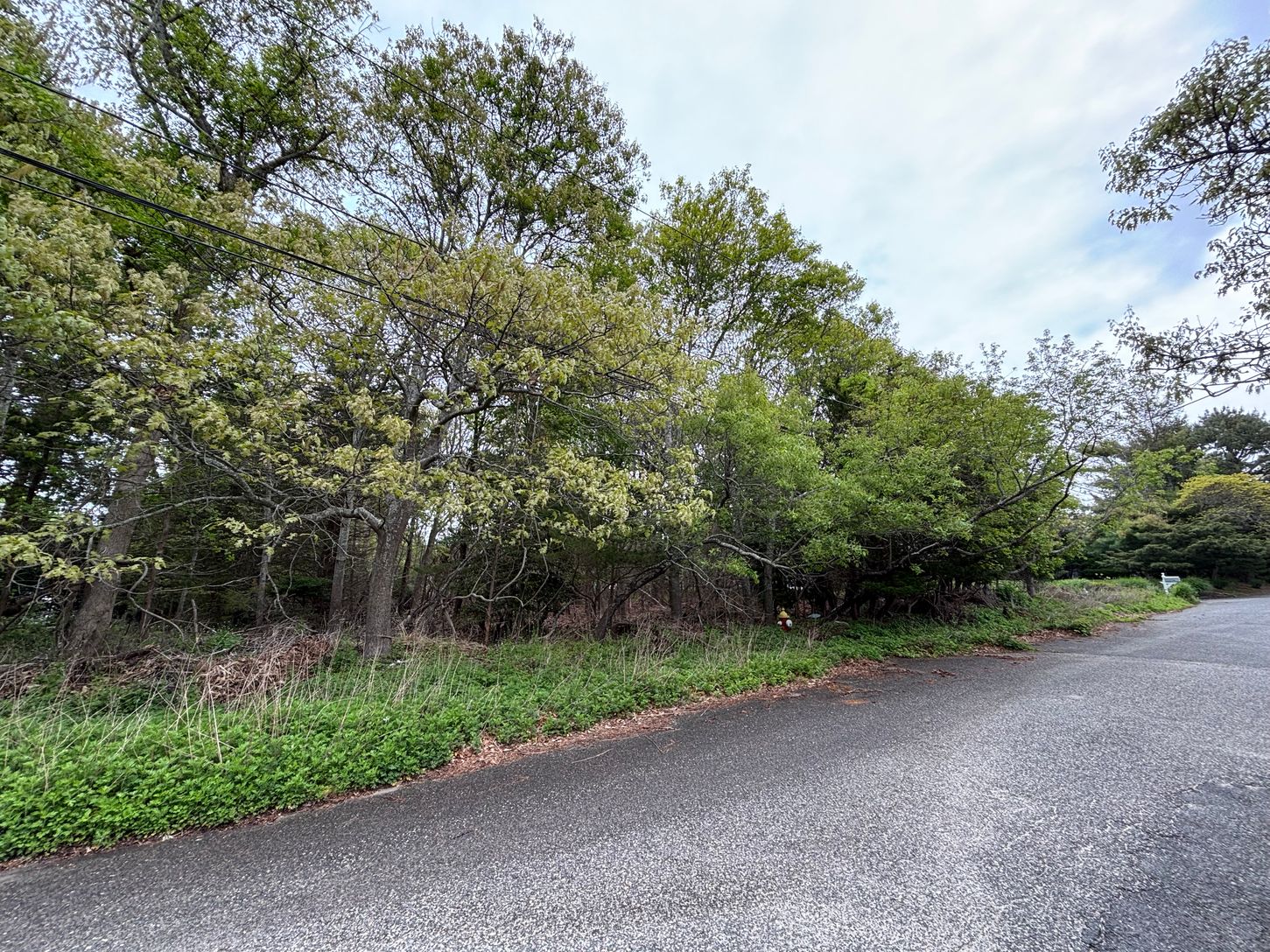  Wooded Lot with fire hydrant