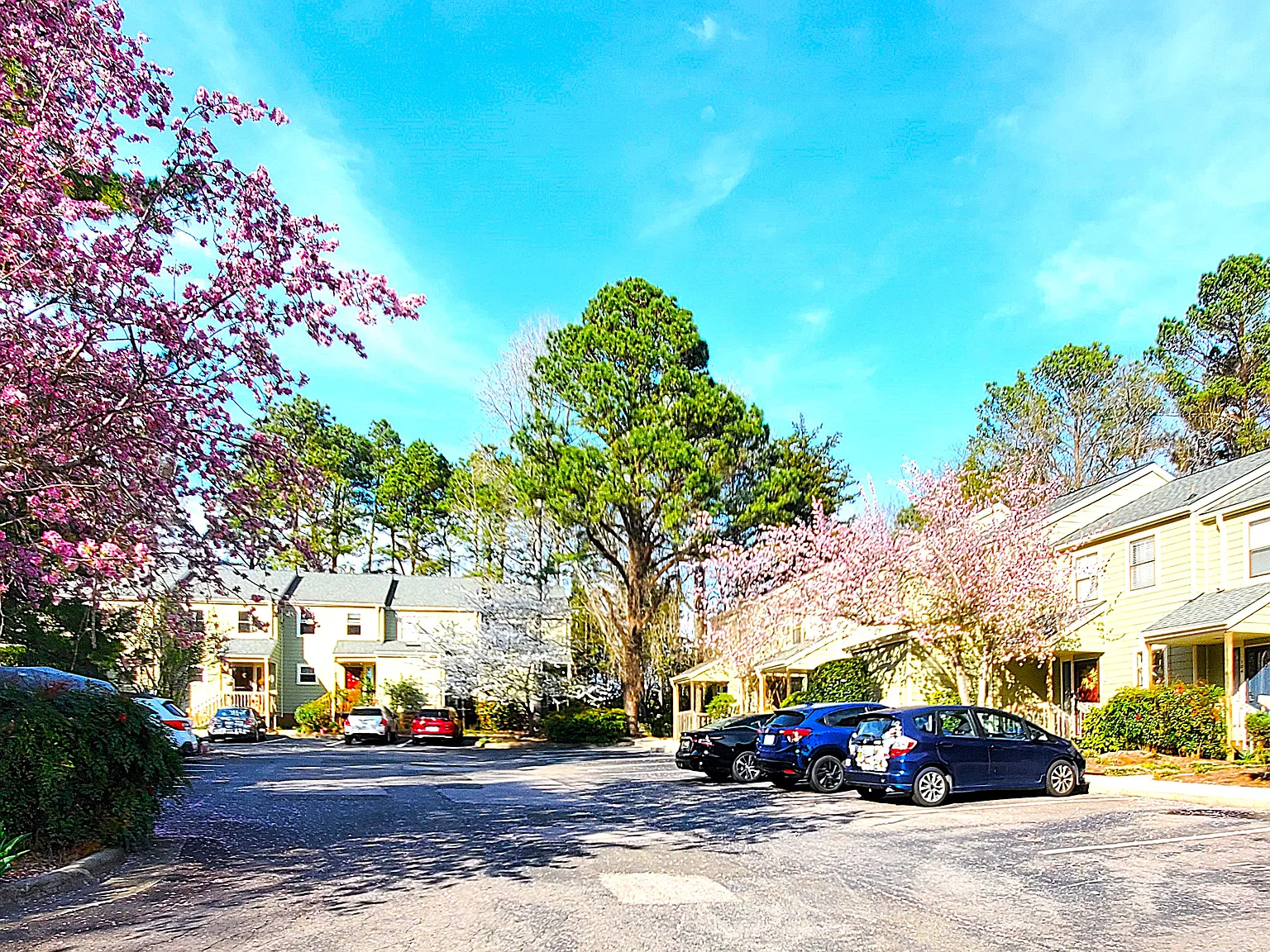 2 bed, 1.5 bath, 995 sqft, $1,390 — Photo 3
