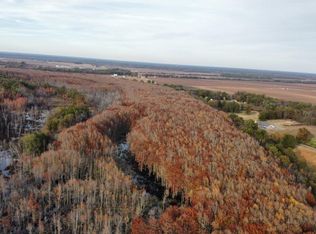 10 Martain Cemetary Rd, Scott, AR 72142