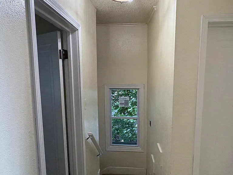 1924 Dorr St — Photo 10