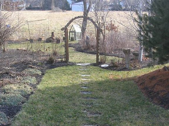back yard
