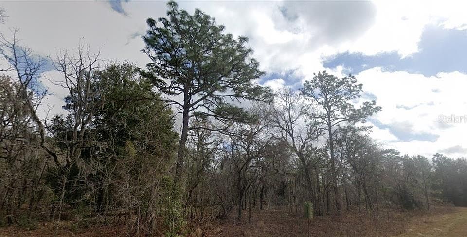 2nd image of Crider Rd Lot 8