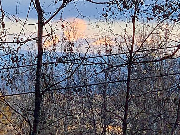 3rd image of 4288 Peartree Loop
